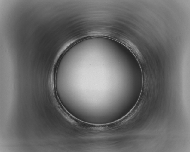 X0000113100796200908281347