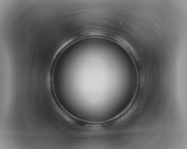 X0000113100798200908281347