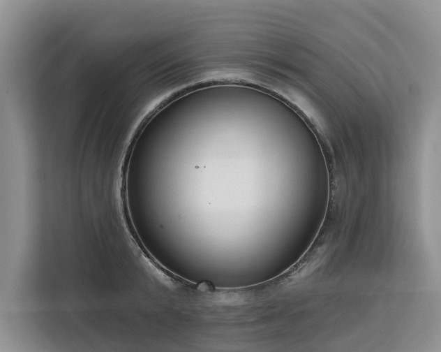 X0000113100799200908281347