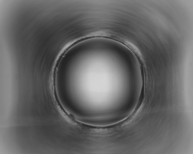 X0000113100800200908281347