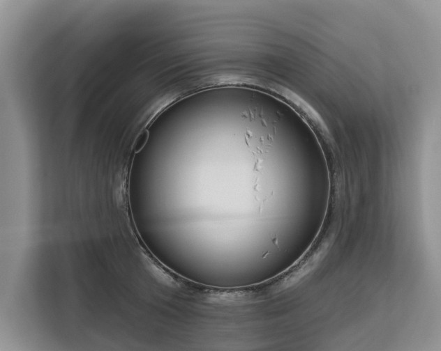 X0000113100801200908281347