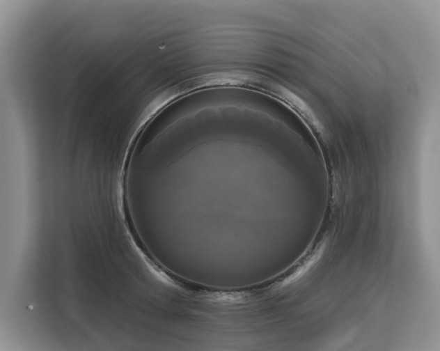 X0000113100802200908281347