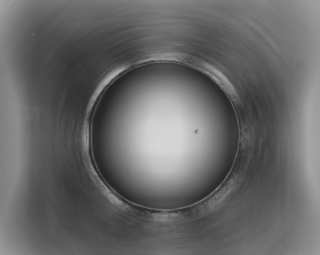 X0000113100804200908281347