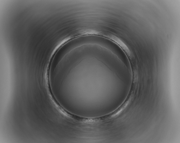 X0000113100806200908281347