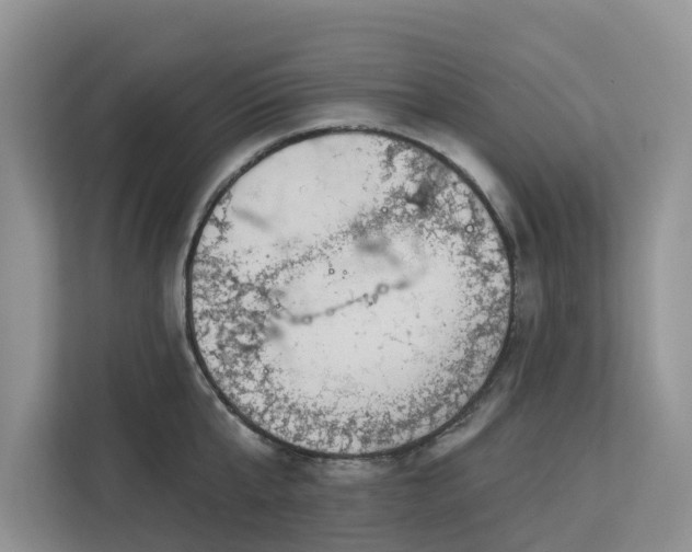 X0000113100807200908281347