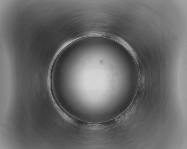 X0000113100811200908281347