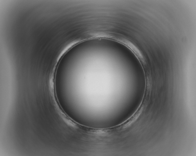 X0000113100814200908281346