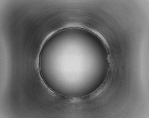 X0000113100815200908281346