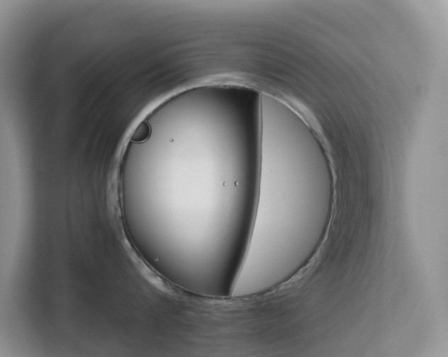 X0000113100816200908281346