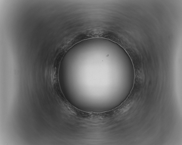 X0000113100818200908281346