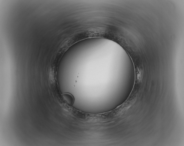 X0000113100819200908281346