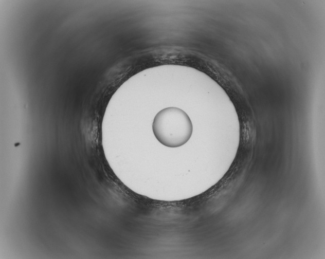 X0000113100820200908281346
