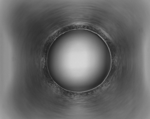X0000113100821200908281346
