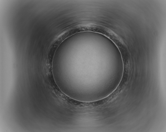 X0000113100822200908281346