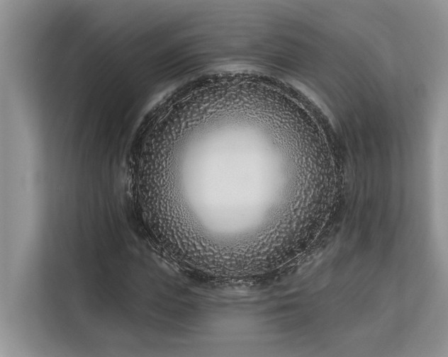 X0000113100823200908281346