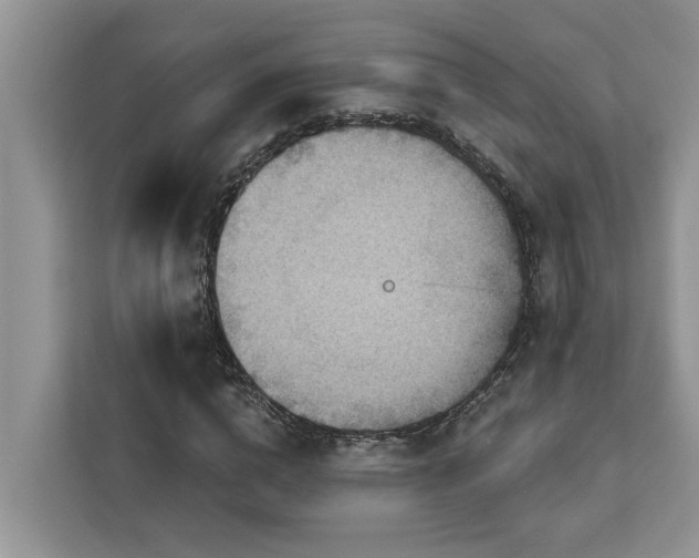X0000113100824200908281346