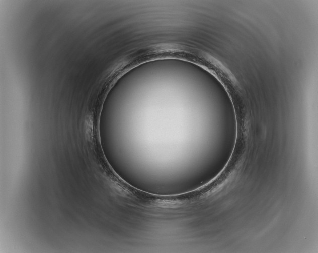 X0000113100825200908281346