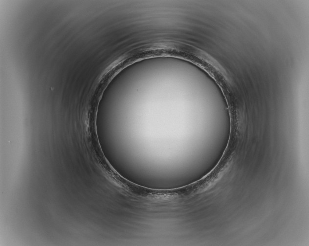 X0000113100826200908281346