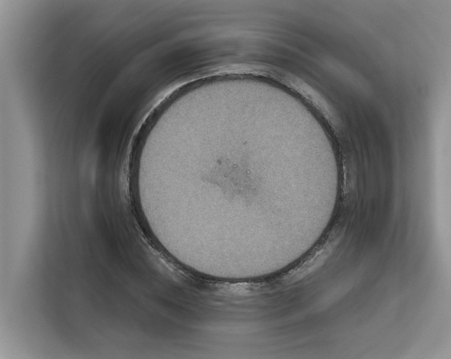 X0000113100828200908281346