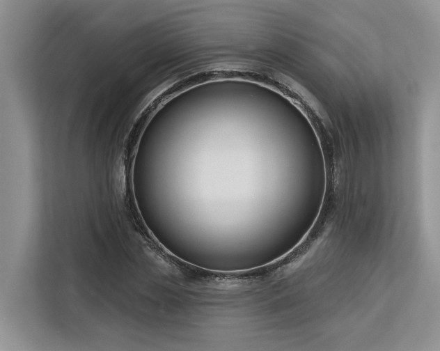 X0000113100829200908281346