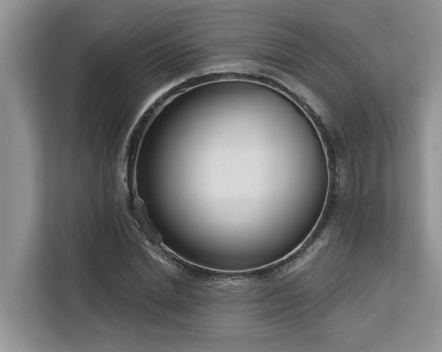 X0000113100830200908281346
