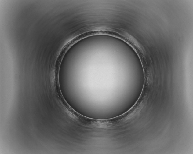 X0000113100831200908281346