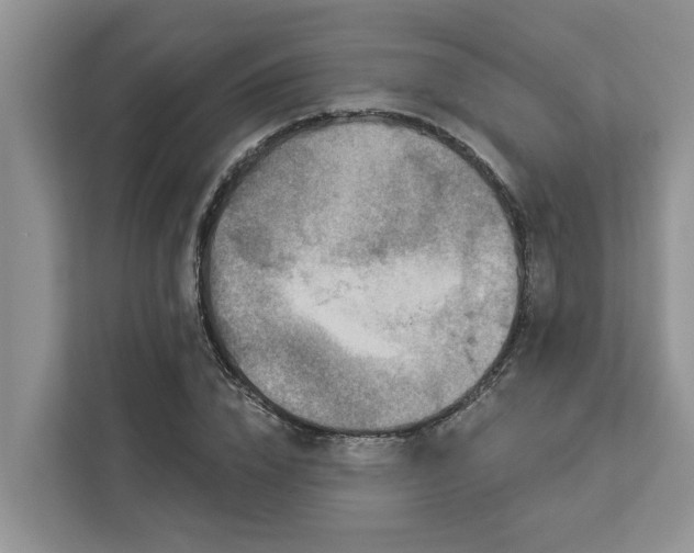X0000113100832200908281346