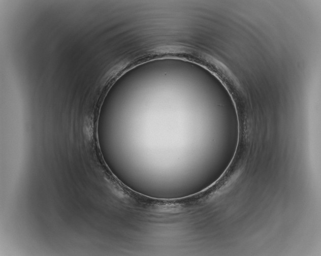 X0000113100833200908281346