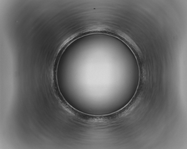X0000113100834200908281346