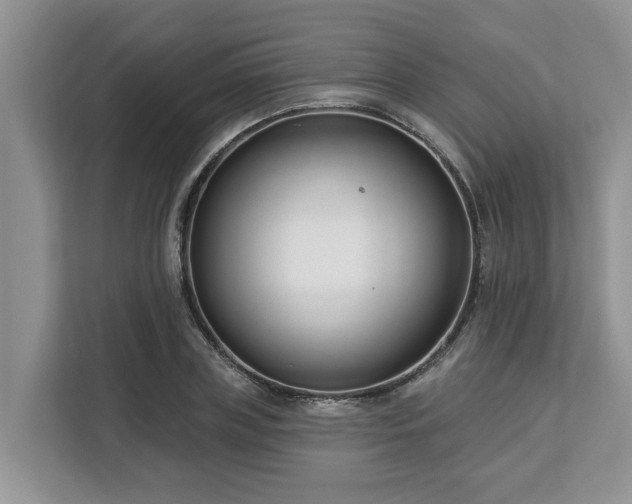 X0000113100835200908281346
