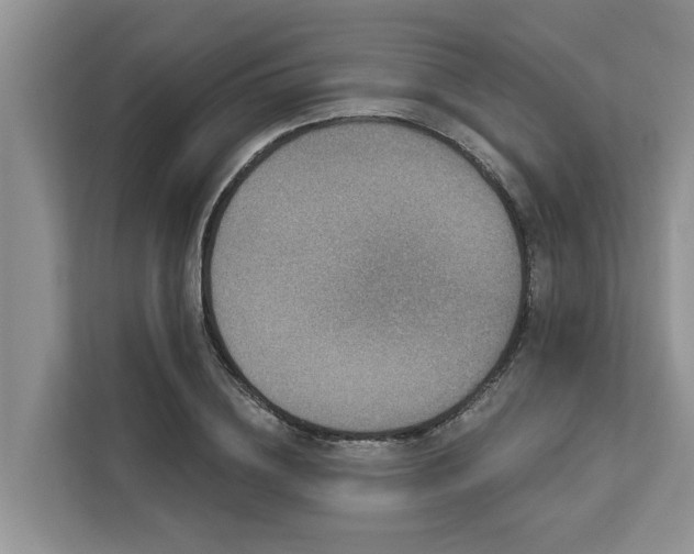 X0000113100836200908281346