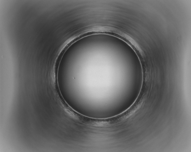 X0000113100837200908281346