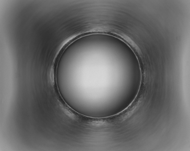 X0000113100838200908281346