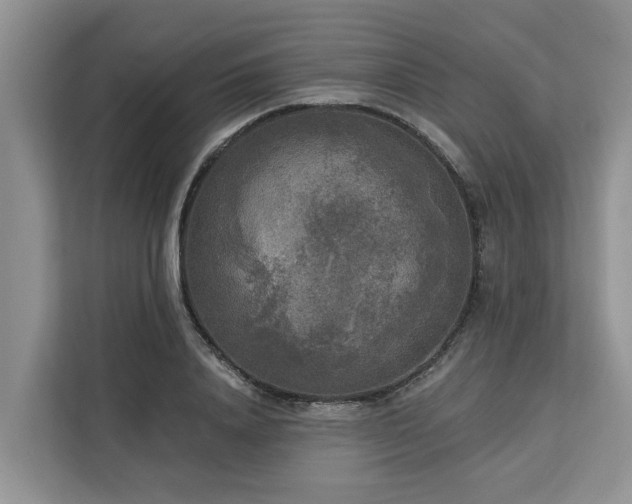 X0000113100840200908281346