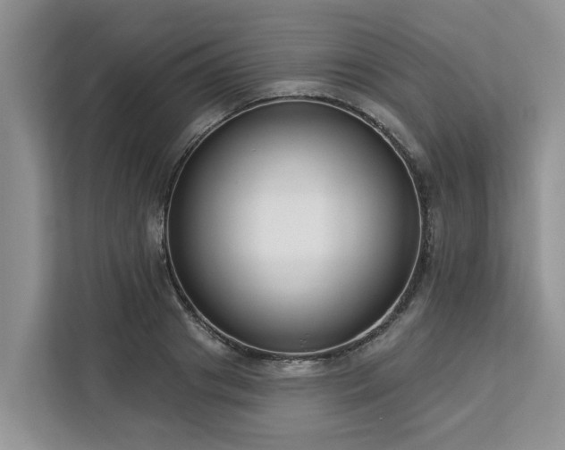 X0000113100841200908281346