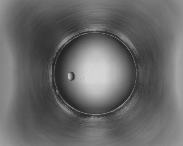 X0000113100842200908281346