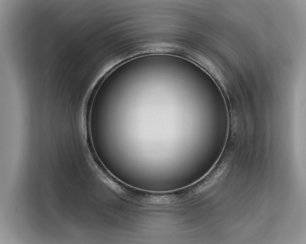 X0000113100843200908281346