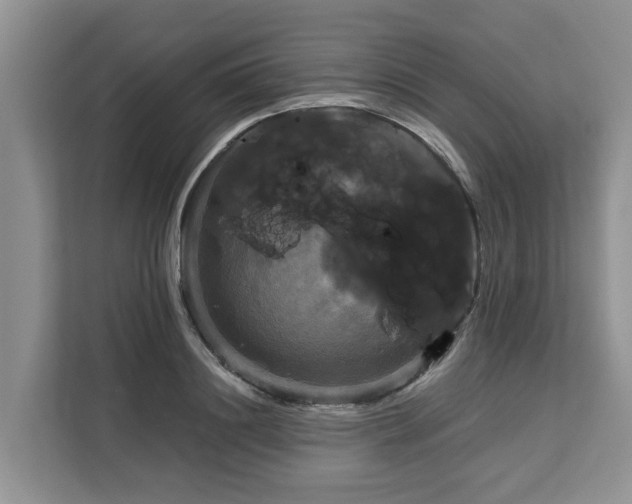 X0000113100844200908281346