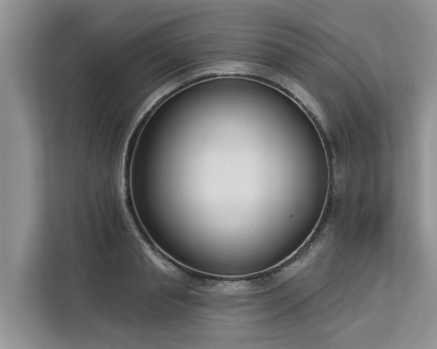 X0000113100845200908281346
