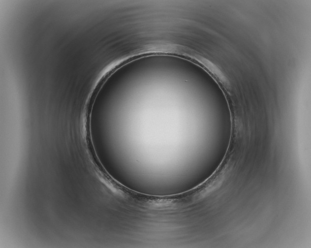X0000113100846200908281346