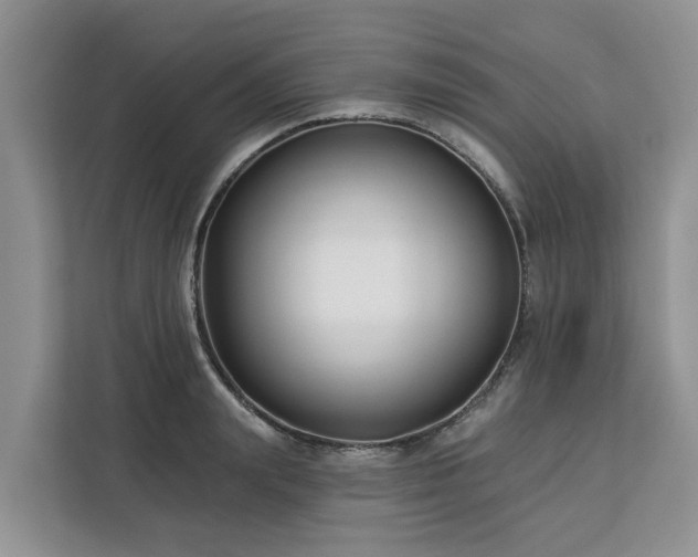 X0000113100847200908281346