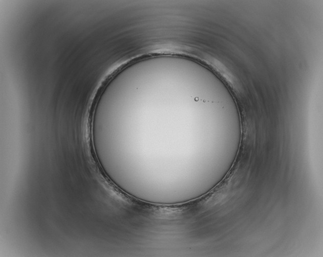 X0000113100848200908281346