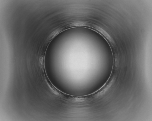 X0000113100849200908281346