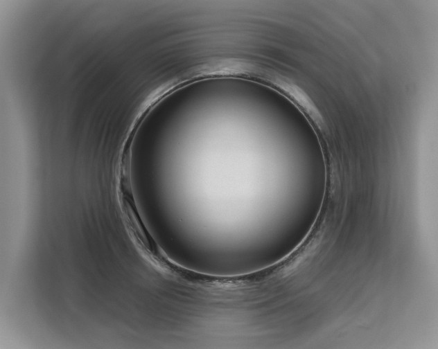 X0000113100850200908281346