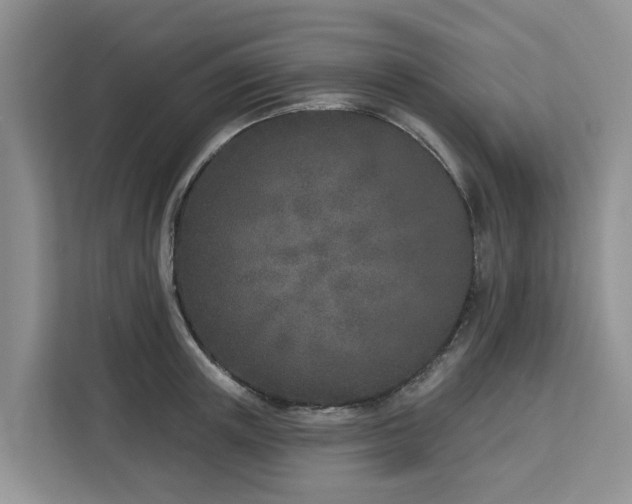 X0000113100851200908281346