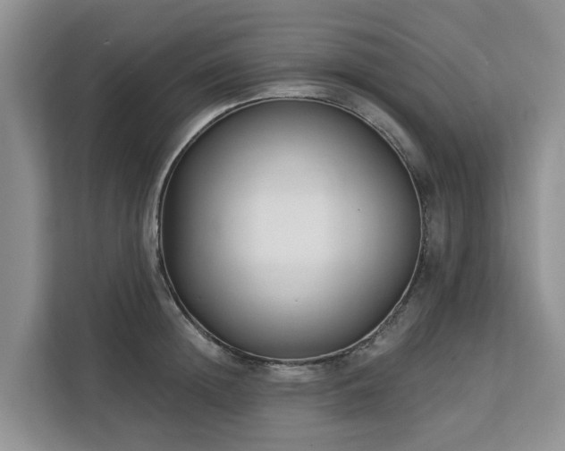 X0000113100852200908281346