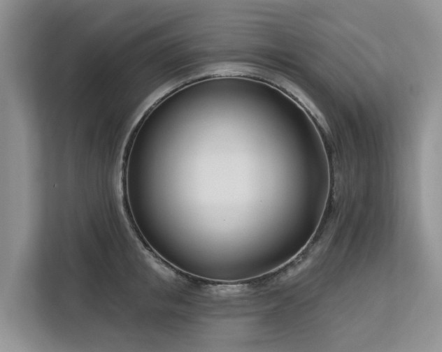 X0000113100853200908281346