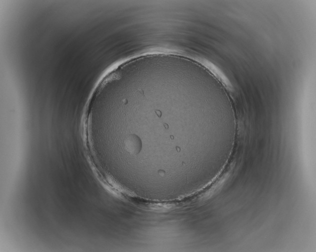 X0000113100854200908281346