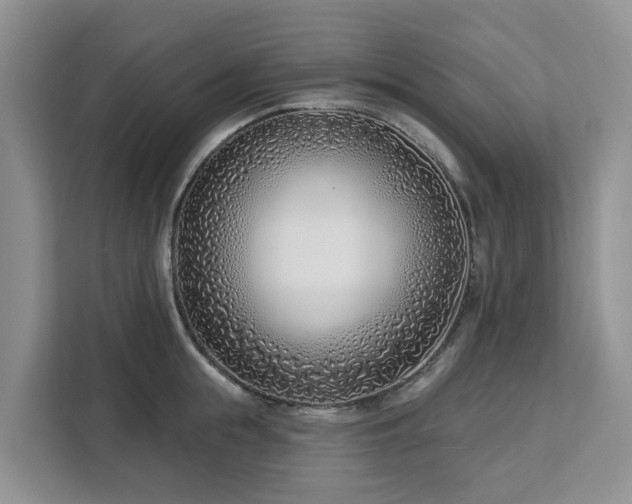 X0000113100855200908281346