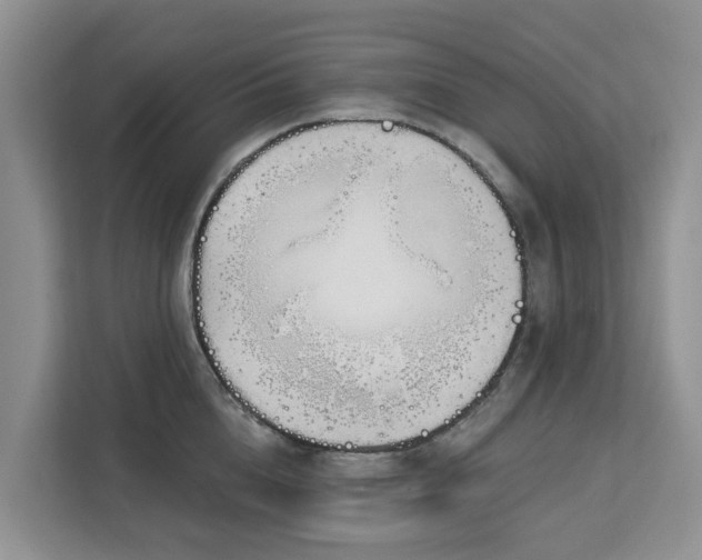 X0000113100856200908281346
